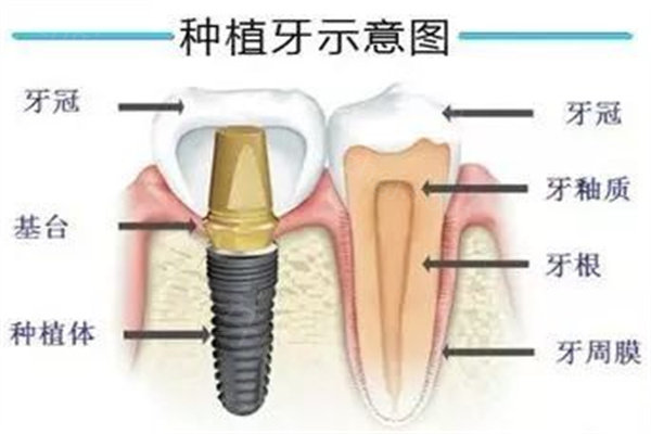 成都新桥口腔