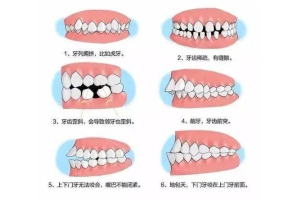 新版2025医院牙科收费价目表