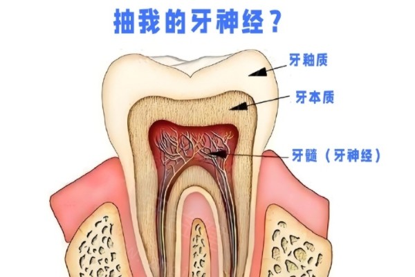合肥根管治疗收费明细表